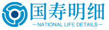 国寿发票明细录入