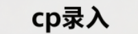 CP录入