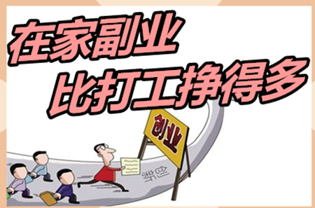 在录入平台做兼职不用受气你愿意做吗？
